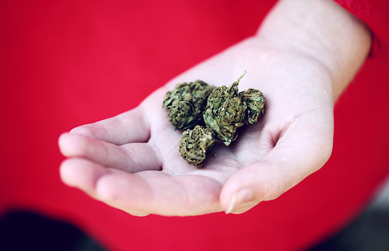suing over bad marijuana