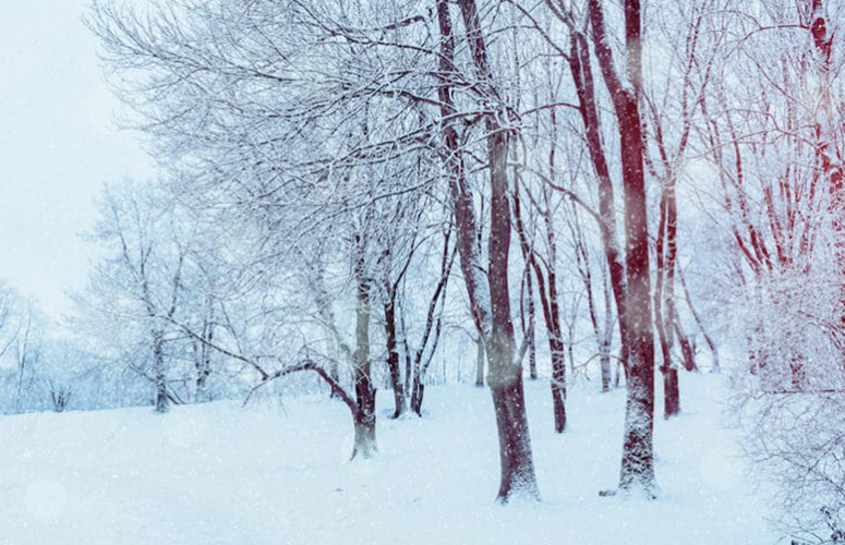 michigan cold winter