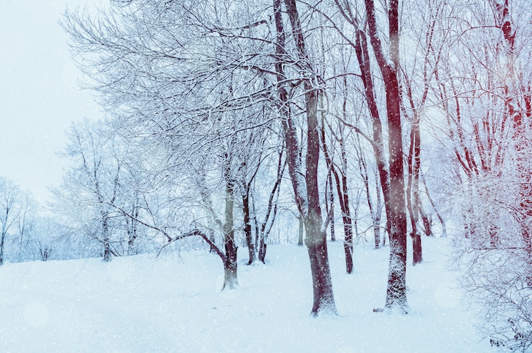 Winter Preparation for Michigan Cold Months