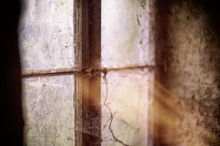 Was My Disease Caused by Asbestos?