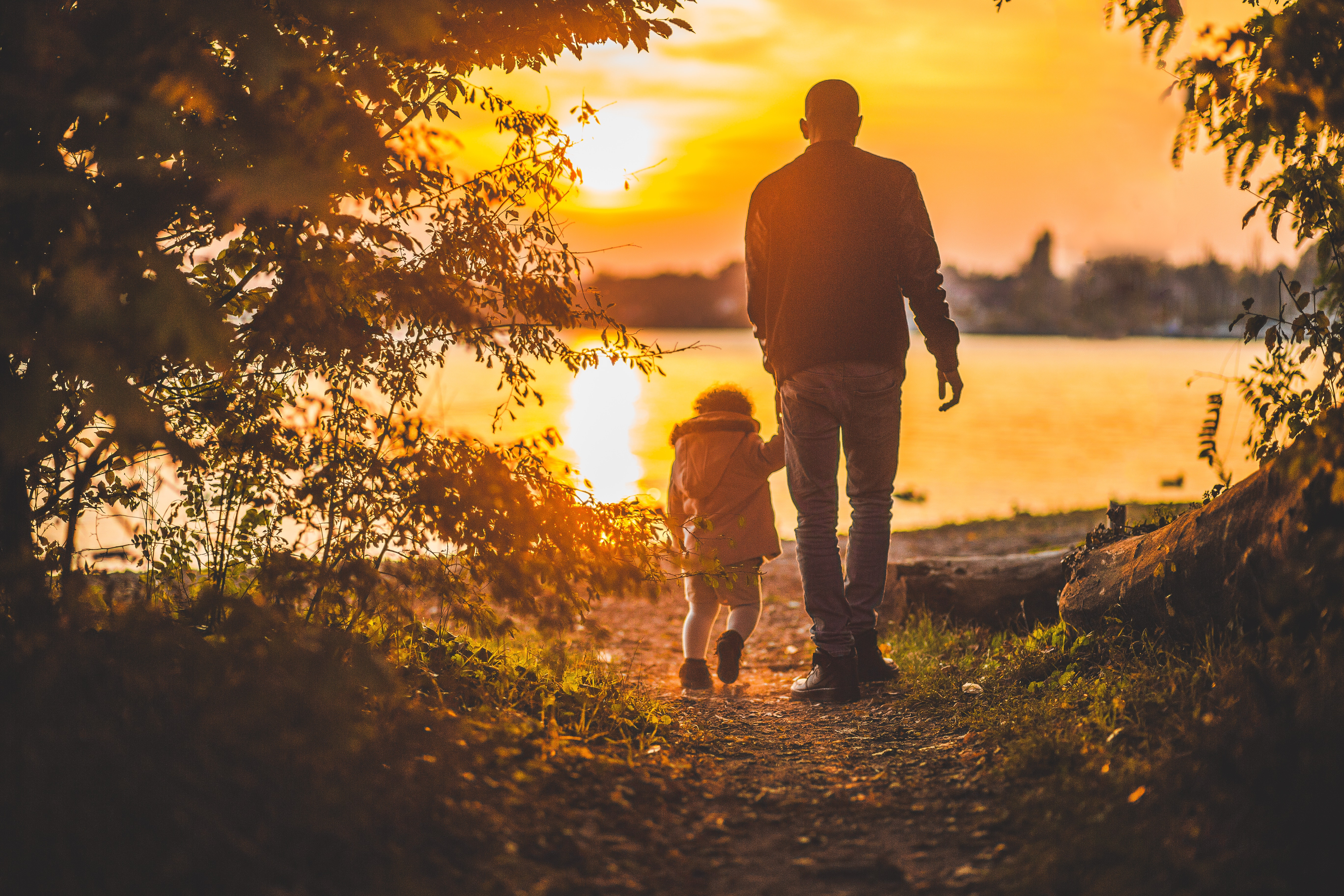 Michigan Child Disability Lawyer (attorney)