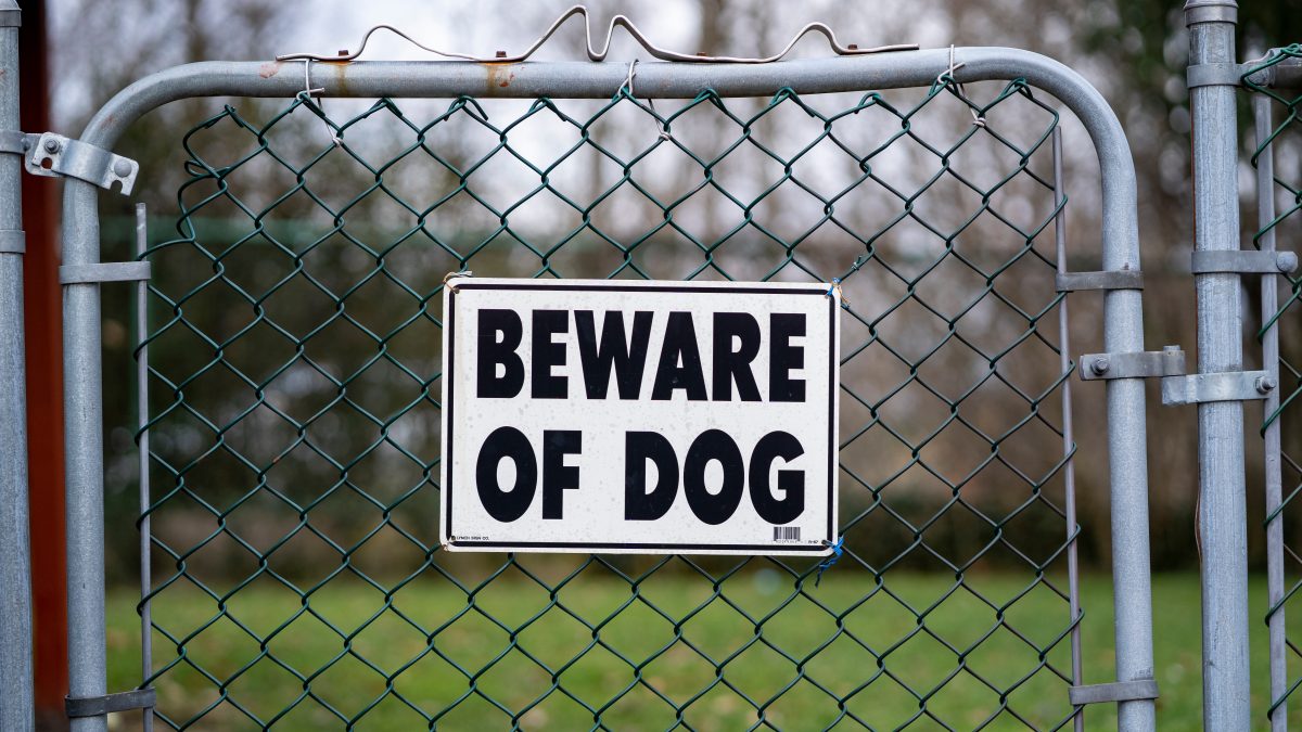 sign on chain link fence that says Beware of dog