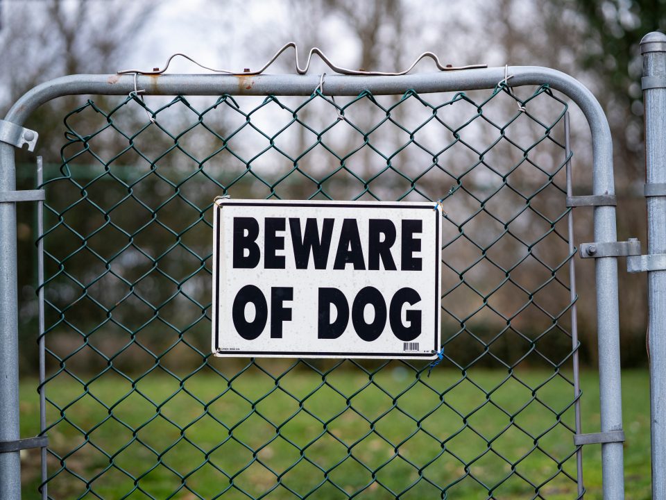 sign on chain link fence that says Beware of dog