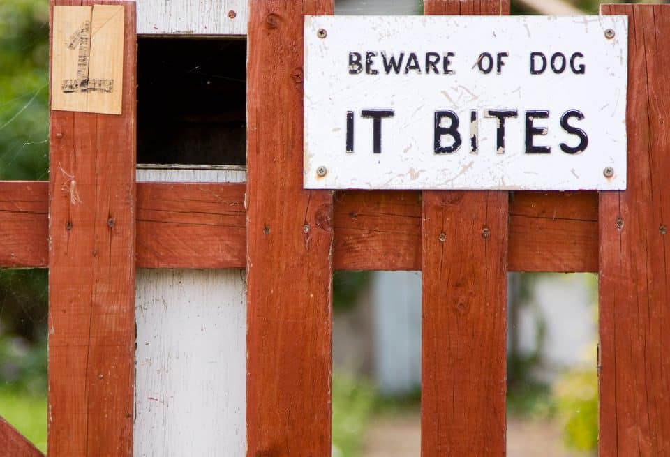 sign on wooden fence that reads beware of dog it bites