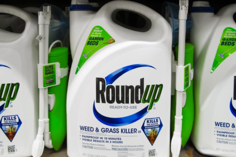 bottles of roundup brand herbicide on a shelf