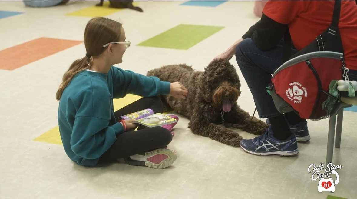 child interacting with a therapy dog while sitting on the floor