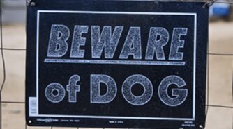 beware of dog sign